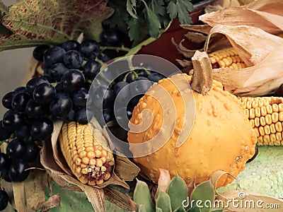 Autumn deocoration with pumpking and grapes. Autumn concept and background. Stock Photo