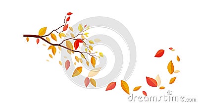 An Autumn Design with Autumnal Branch Stock Photo