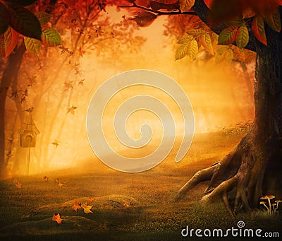 Autumn design - Forest in fall Stock Photo