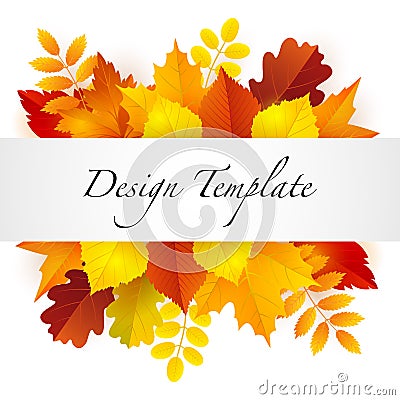 Autumn design template Vector Illustration