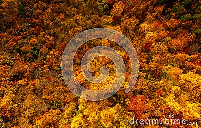 Autumn details and textures with orange, yellow and red color shades. Nature aerial photo used for backgrounds Stock Photo