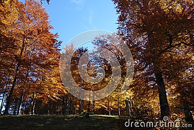 Autumn dream over the heights of Ciucas Mountains 2 Stock Photo