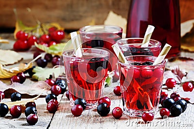 Autumn drink with cranberry and aronia, selective focus Stock Photo