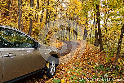 Autumn driving Stock Photo