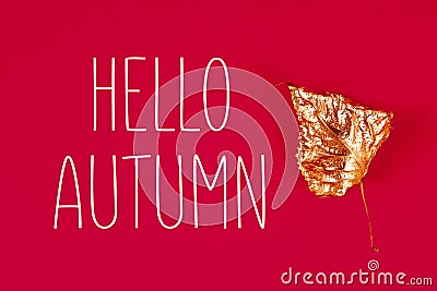 Autumn dry leaves painted with gold paint on red background. Top view. Trendy. Golden autumn Stock Photo