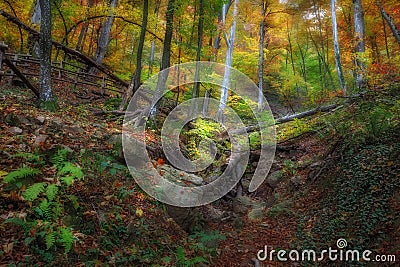 Autumn in the Etropole Forest under the monastery Stock Photo