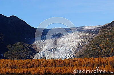 Autumn on Exit Glacier Seward Alaska Stock Photo