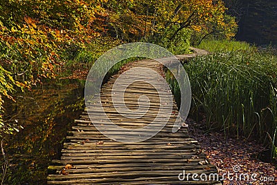 Autumn fairytale in the national park. Stock Photo