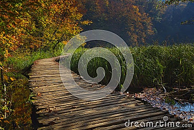 Autumn fairytale in the national park. Stock Photo