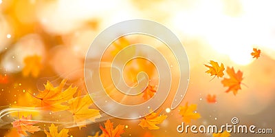 Autumn. Fall abstract autumnal background with colorful leaves Stock Photo