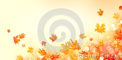 Autumn. Fall abstract background with colorful leaves and sun flares Stock Photo