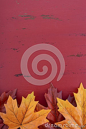 Autumn Fall background Stock Photo