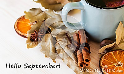 Autumn, fall leaves, hot steaming cup of glint wine Stock Photo