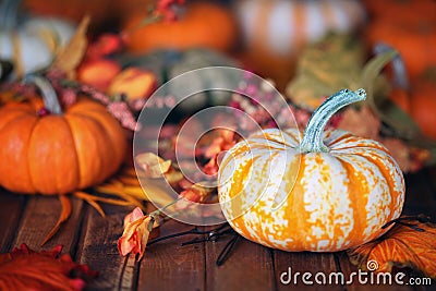 Autumn, fall leaves pumpkins background Stock Photo