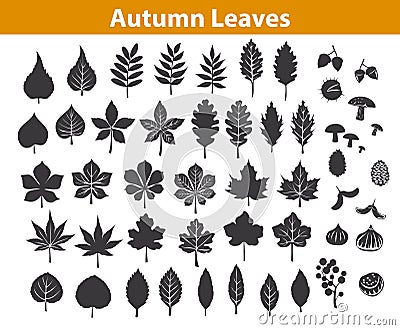 Autumn fall leaves silhouettes set in black color Vector Illustration