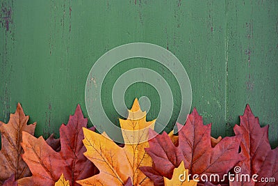 Autumn Fall Rustic Wood Background. Stock Photo