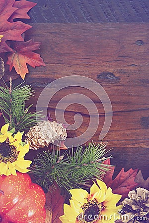 Autumn Fall Rustic Wood Background. Stock Photo