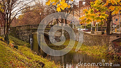 Autumn / Fall scene in Dublin, Ireland. Beautiful autumnal colors and old stone bridge Stock Photo