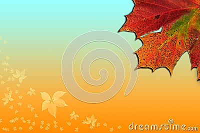 Autumn Fall Season leaves background Stock Photo