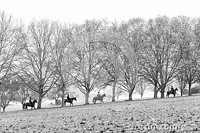 Autumn Horses Riders Landscape Stock Photo