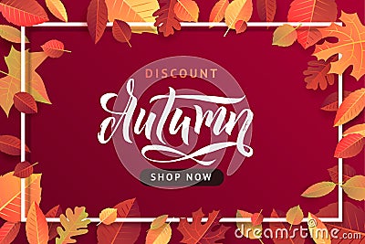 Autumn Fall Season Sale Banner. Colorful fall leaves and advertising discount text. Vector background design Vector Illustration