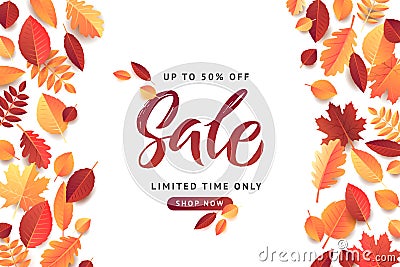 Autumn Fall Season Sale Banner. Colorful fall leaves and advertising discount text. Vector background design Vector Illustration