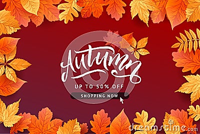 Autumn Fall Season Sale Banner. Colorful fall leaves and advertising discount text. Vector background design Vector Illustration