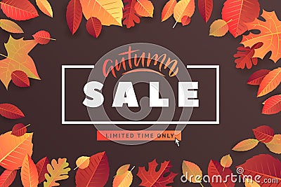 Autumn Fall Season Sale Banner. Colorful fall leaves and advertising discount text. Vector background design Vector Illustration