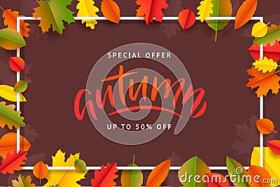 Autumn Fall Season Sale Banner. Colorful fall leaves and advertising discount text. Vector background design Vector Illustration