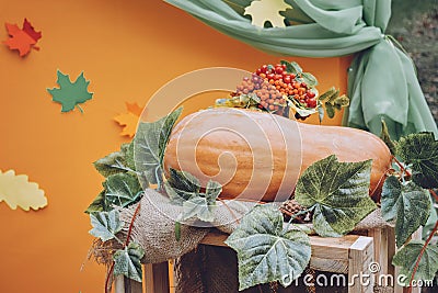 Autumn fall seasonal decorations with pumpkins, plants and flowers. Autumn harvest, farm market, sale Stock Photo