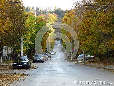 Autumn fall in the town city. Colourful red and yellow trees in the street. Editorial Stock Photo