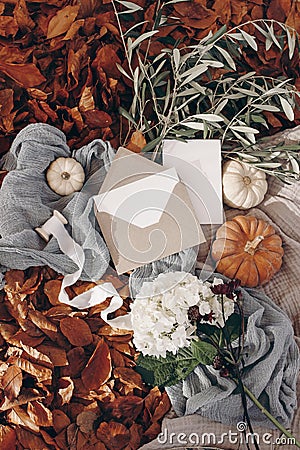 Autumn, fall stationery mockup scene. Blank greeting cards, invitation, craft paper envelope, olive branches, pumpkins Stock Photo