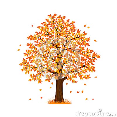 Autumn fall tree Vector Illustration