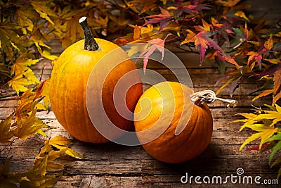 Autumn fallen leafs and small pumpkin Stock Photo