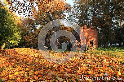 autumn Stock Photo