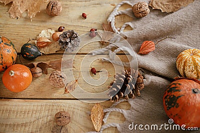 Autumn flat lay. Cute pumpkins, autumn leaves, cones, walnuts, cozy scarf on rustic wooden table in farmhouse. Fall in rural home Stock Photo