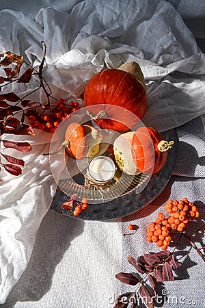 Autumn flat lay photo concept. Decorative pumpkins Stock Photo