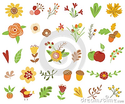 Autumn floral set Colorful floral collection yellow terracotta flowers leaves berries Autumn floral clipart Vector illustration Cartoon Illustration