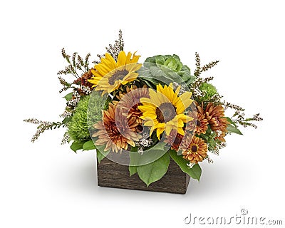 Mixed Autumn Flower Arrangement with Sunflowers, Kale, and Mums in a Rustic Wood Box - Florist Designed Floral Arrangement Stock Photo
