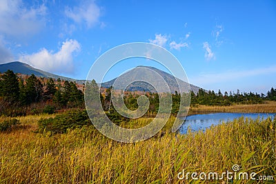 Autumn foliage in Aomori, Japan Stock Photo