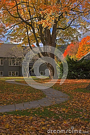 Autumn foliage in back yard Stock Photo