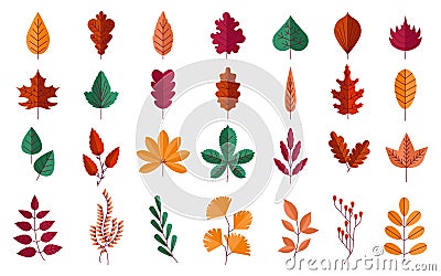 Autumn foliage. Forest red and yellow leaves of maple or oak. Orange chestnut trees. Fall season botanical graphic Vector Illustration