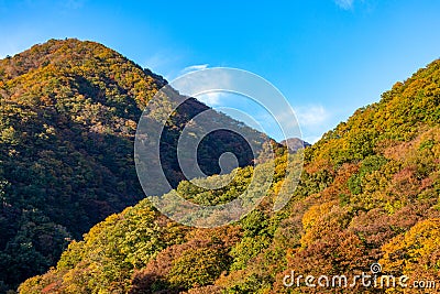 Autumn foliage in Japan Stock Photo