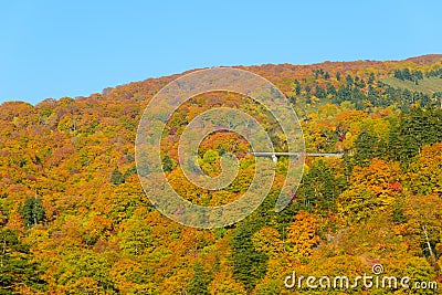 Autumn foliage of Mt.Hachimantai Stock Photo