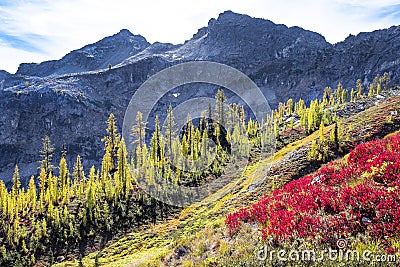 North Cascades National Park Stock Photo