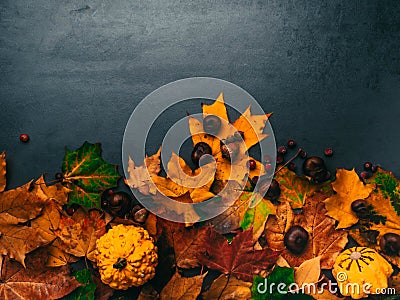 Autumn foliage with pumpkins, acorns, chesnuts for Thanksgiving and fall holidays. Bottom border background with copy space Stock Photo