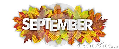 Autumn Foliage September Header White Background Vector Illustration