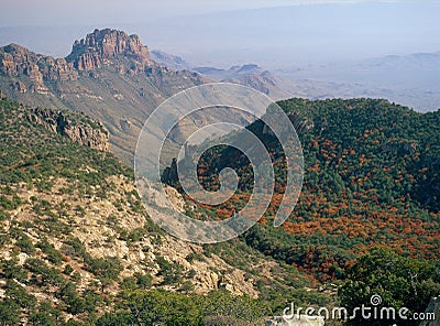 Autumn foliage from the summit of Emory Peak, Big Bend National park, Texas Stock Photo