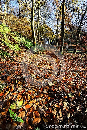 Autumn Footpath Stock Photo