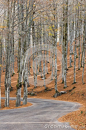 Autumn in Forca D`Acero, Abruzzo National Park, Italy Stock Photo